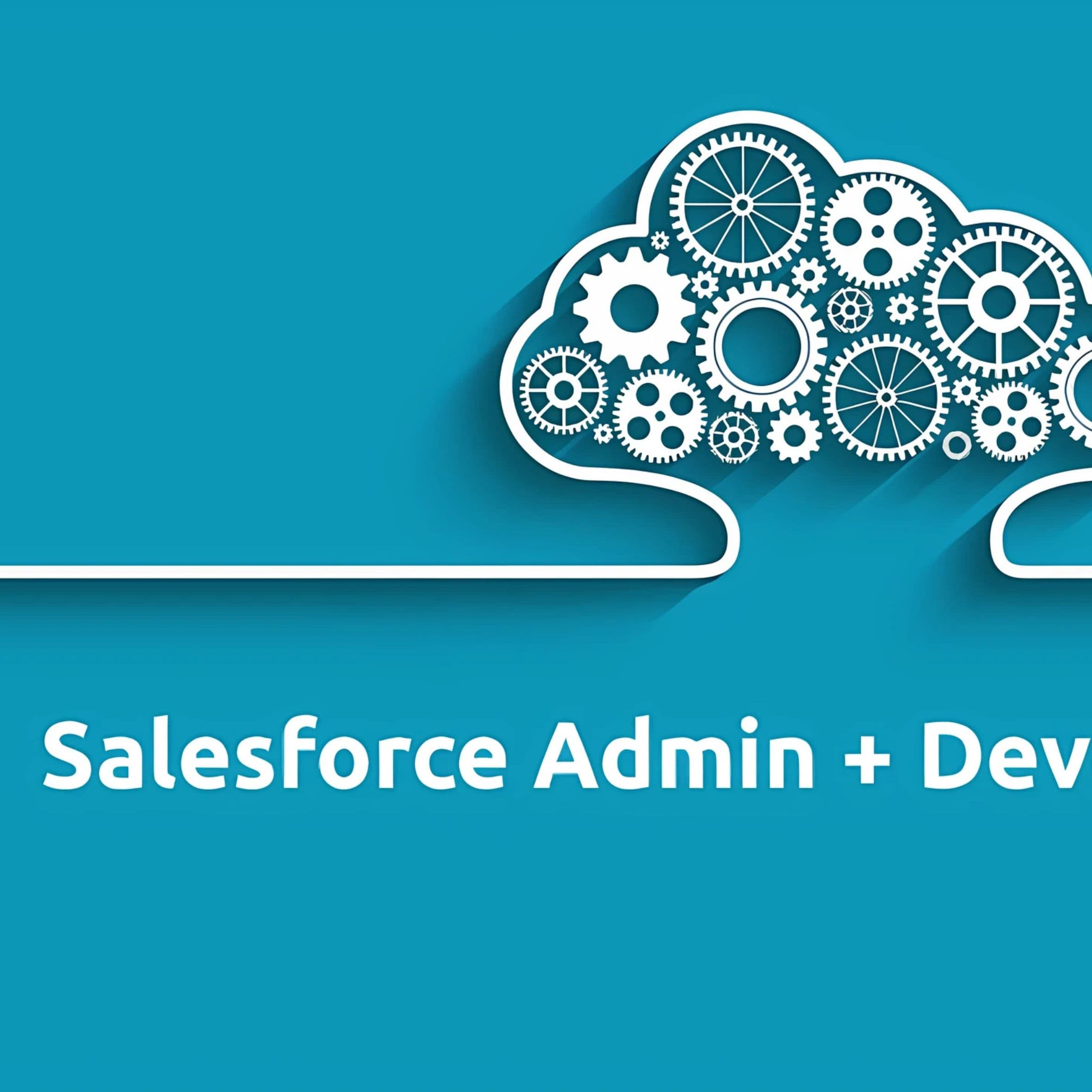 Salesforce Admin & Developer